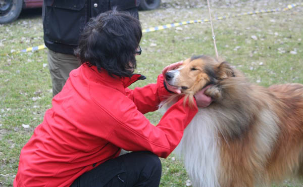 azlan2