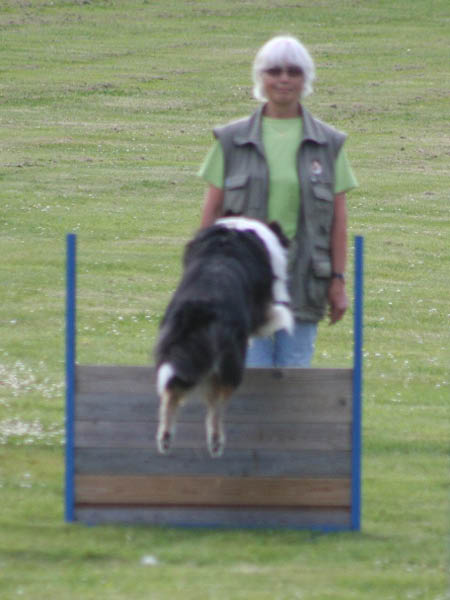 bild19