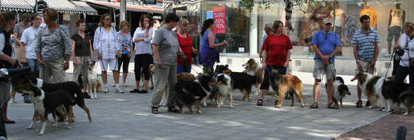 bild2
