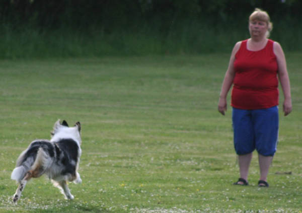 bild22