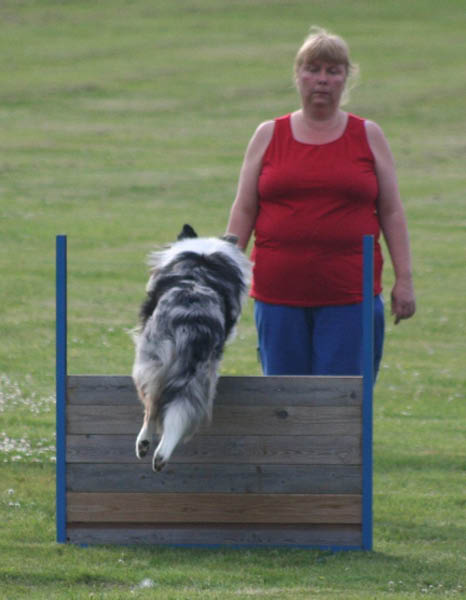 bild24