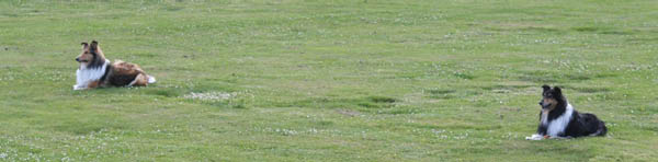 bild25