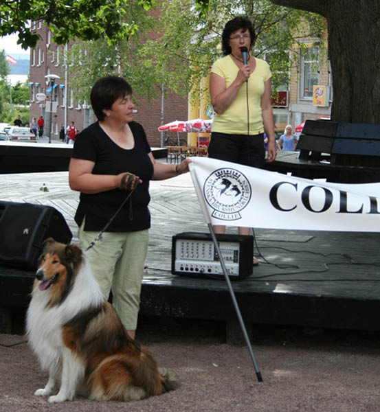 bild3
