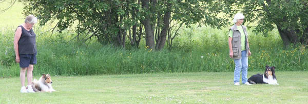 bild4