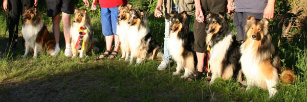 bild42