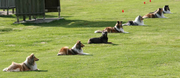 bild6