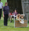 bild15