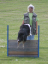 bild19