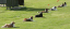 bild6