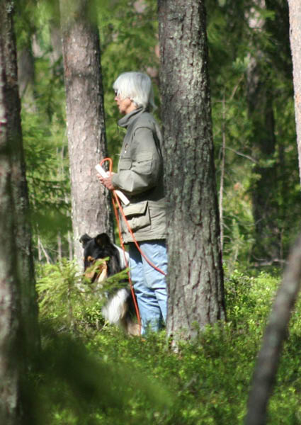 bild4
