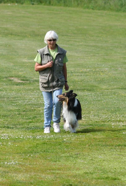 bild9