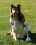 bild14