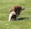 bild7