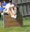 bild8