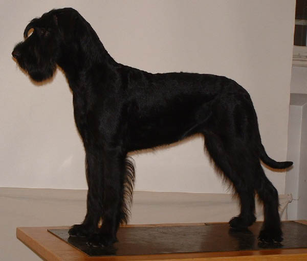 esther3