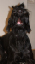 hampus4