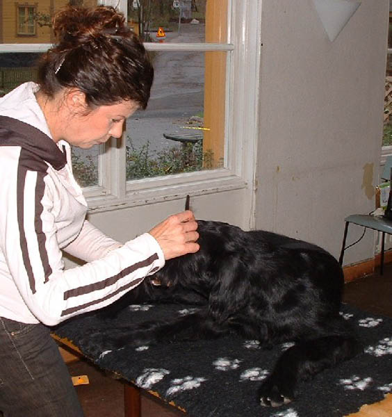 esther1