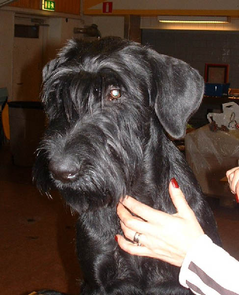 esther3