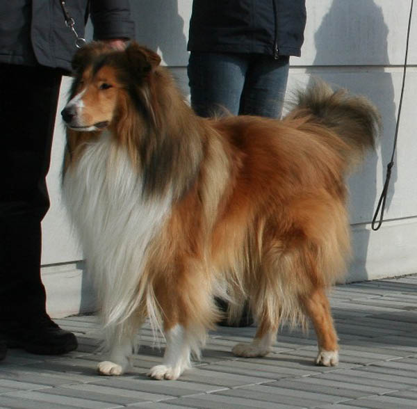 azlan