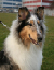 milou2
