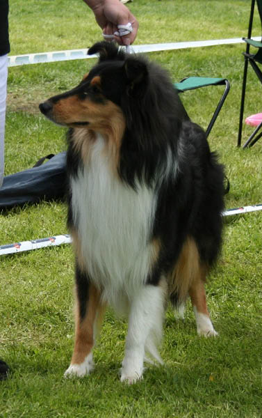 bild1