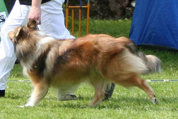 bild13