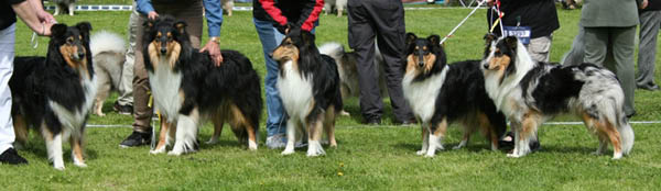 bild14