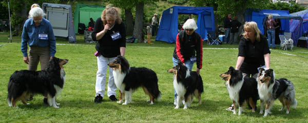 bild15