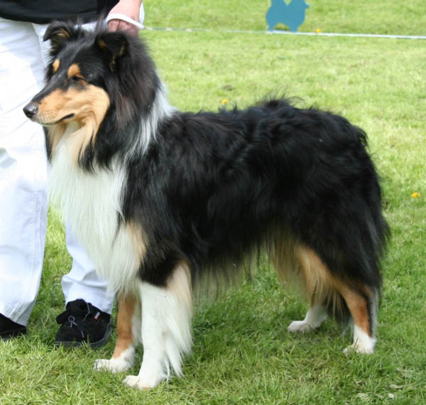 bild3