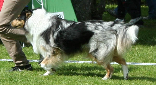 bild5