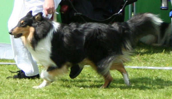 bild6