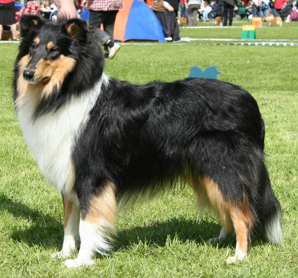 bild7