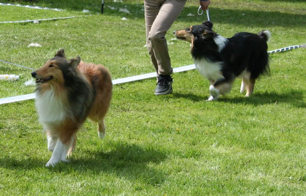 bild9