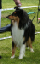 bild1