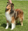 bild10