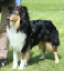 bild12