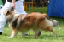 bild13