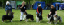 bild15