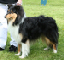 bild3