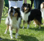 bild4