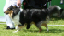 bild6