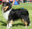 bild7