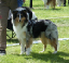 bild8