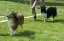 bild9