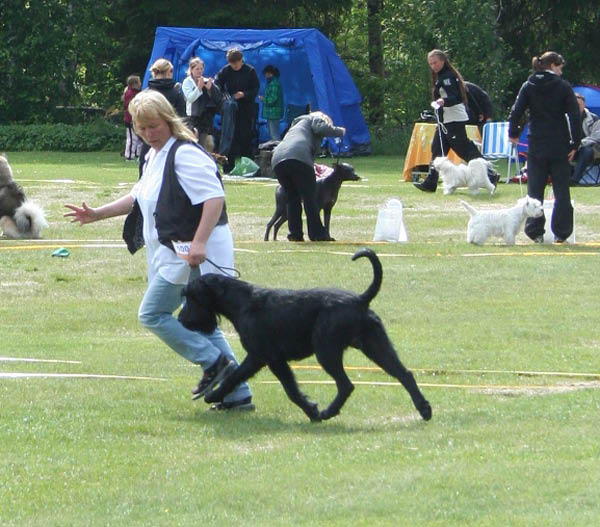 bild10