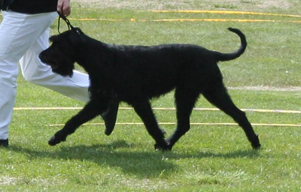 bild12