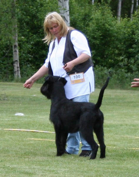 bild15