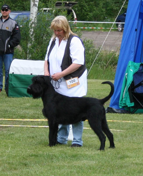 bild16
