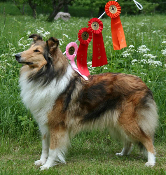 bild21