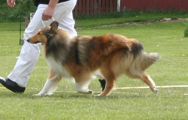 bild7